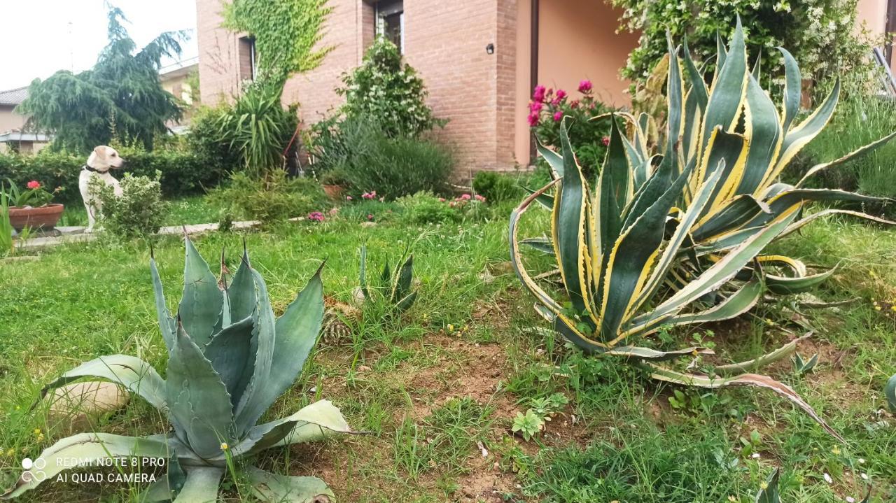 הוילה Felino Casa Vincenzo 130 Mq Con Portico Ed Ingresso Esclusivo Dal Giardino מראה חיצוני תמונה