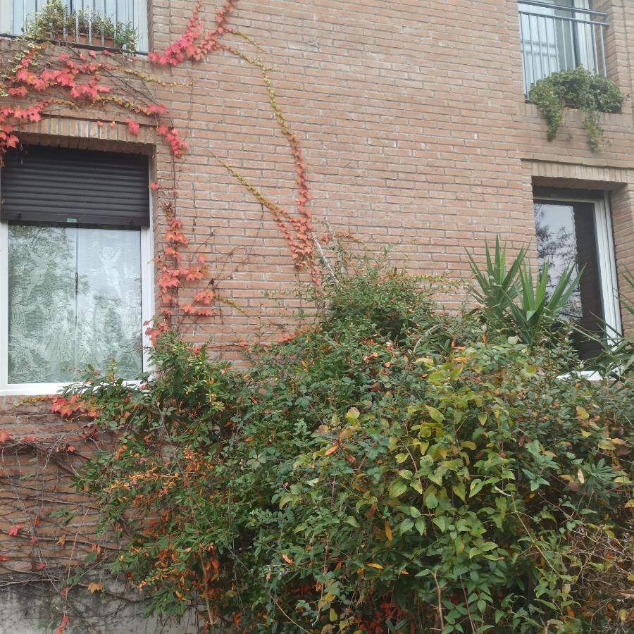 הוילה Felino Casa Vincenzo 130 Mq Con Portico Ed Ingresso Esclusivo Dal Giardino מראה חיצוני תמונה