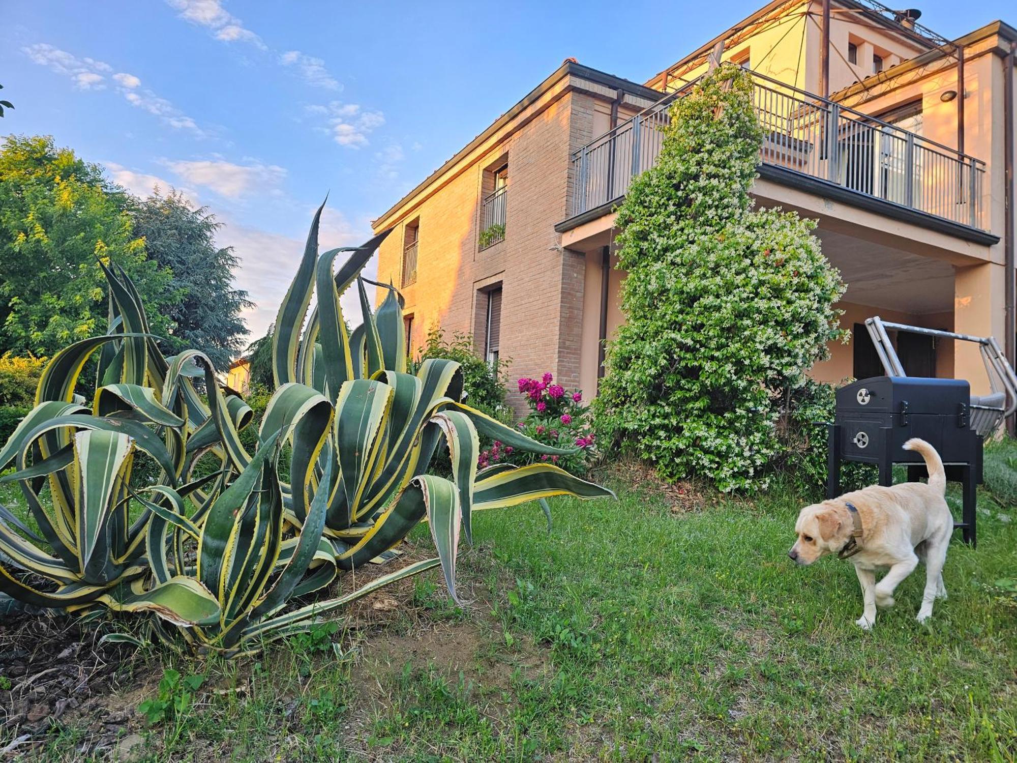 הוילה Felino Casa Vincenzo 130 Mq Con Portico Ed Ingresso Esclusivo Dal Giardino מראה חיצוני תמונה